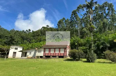 Sítio com 675.970 m², escriturado, com arrozeira, pastagem, bananal e casa, analisa negociação