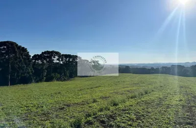 Area rural com 45 hectares,  escriturada, atrás do condominio trilha dos carroções