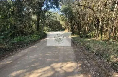 Sítio com 32.194 m², escriturado, próximo a cachoeira do salto