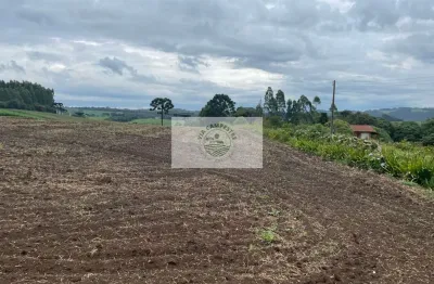 Sítio com 48.000 m², todo limpo, ótimo para plantação, analisa permuta parcial