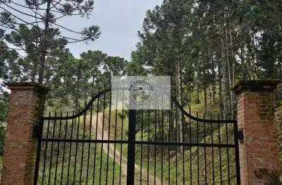 Sítio com 20.000 m², escriturado, pertinho do asfalto, analisa permuta