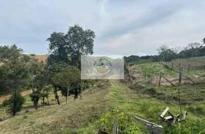 Sítio com 40.800 m² em campo alegre, com lago, pastagem, plantação, casa, toda cercada