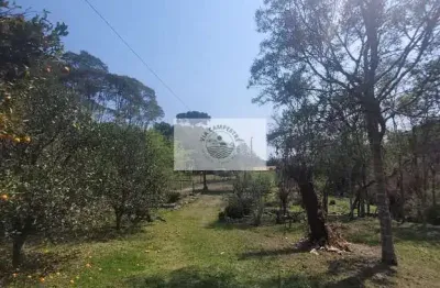 Sítio com 5.785 m², documentado, região de avenquinha, com lago, araucárias