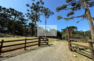 Sítio de 15.194 m2, com chalé novo, riacho, parcialmente cercado, aceita carro ou parcelamento