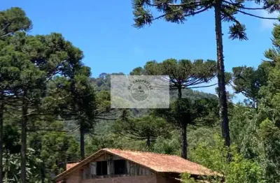 Sítio em campo alegre com 35.000 m², residencia rustica, terreno levemente ondulado, todo cercado