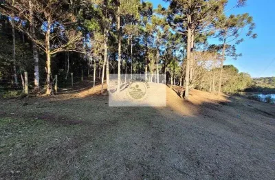 Sítio com 20.000 m², no lageado, com riacho e lindas araucarias, 100 metros do asfalto