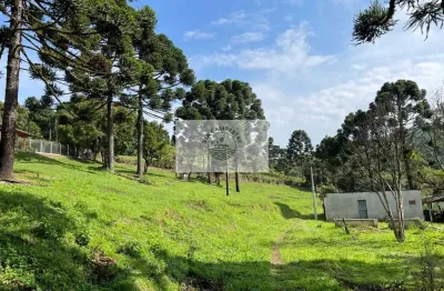 Sítio com 6.245,00 m², belas araucárias, lugar alto, com uma casa para reformar, documentado