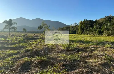 Sítio com 40.657 m², em pirabeiraba, escriturado, com riacho, estrada do pico