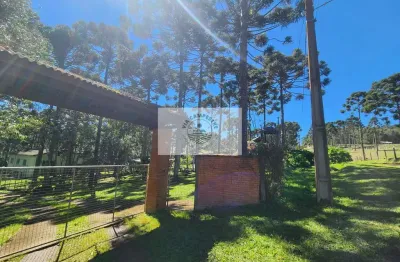 Sítio com 17.000 m², com casa de material e casa de madeira, escriturada, com rio, em campo alegre