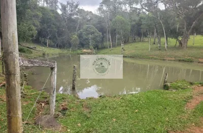 Sítio com 30.000 m², região de serrinha em campo alegre/sc, apenas 1,5 km do asfalto