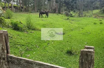 Sítio com 85.107 m², escriturado, frente para o asfalto, com casa e galpão, região de são miguel