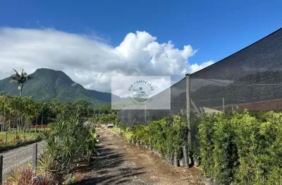 Sítio com 8.300 m², frente para o asfalto em Pirabeiraba, analisa permuta parcial