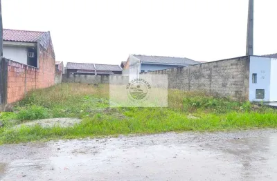 Terreno com 240,00 m2, escriturado, parcialmente murado, pronto para construir