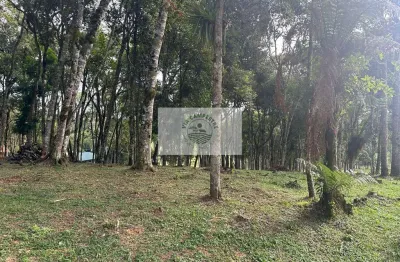 Terreno para sitio com 1.725 m², região do Saltinho, com linda vista, parcialmente cercado