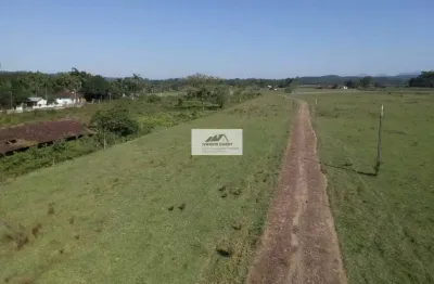 Área na estrada da ilha com 96.160 m², frente para o asfalto, toda plana e limpa