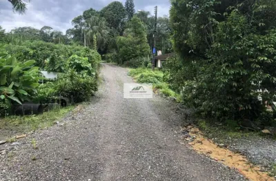 Amplo terreno urbano com 81.091 m², localizado na lateral da rua colon, bairro gloria