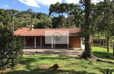 Chácara em campo alegre com ampla residência com 3 suítes, mais casa de hospedes, ranchos, riacho