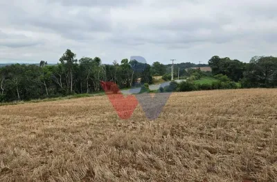 Terreno de 84.700 m  em Araucária  Ideal para loteamento ou condomínio exclusivo