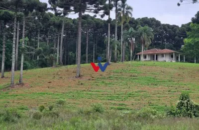 Fazenda com 70 alqueires, casa, rio e lago a 8 km da br-476  aberta a negociação