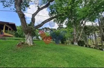 Sítio em Quatro Barras  150.000 m  com casas, pomar, campo e mata nativa