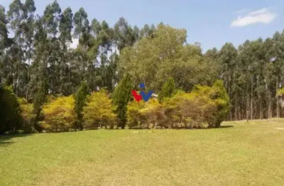 Fazenda com 3 dormitórios à venda, 1116000 m  por r  9.000.000,00 - centro - arapoti pr