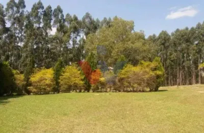 Fazenda Reflorestada de 111,6 Hectares em Arapoti PR  Investimento e Lazer