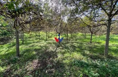 Chácara com 1 dormitório à venda,47270.00 m , zona rural, quitandinha - pr