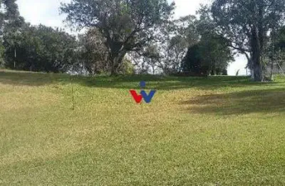 Terreno à venda com mina dágua e potencial de construção, oportunidade única