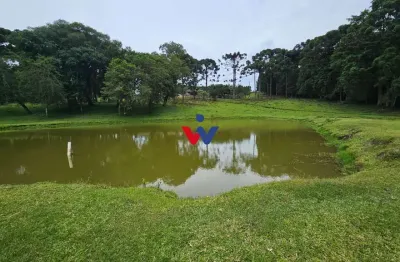 Propriedade rural com 254.100m , casas, tanques de peixe, pomar e pasto