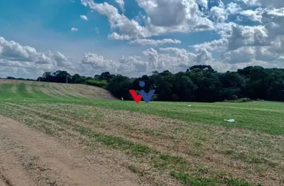 Chácara lagoa suja araucária  natureza, tranquilidade e acesso asfaltado