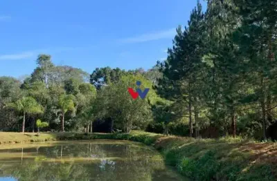 Chácara com 2 dormitórios à venda, 168 m  por r  1.200.000,00 - zona rural - quitandinha pr