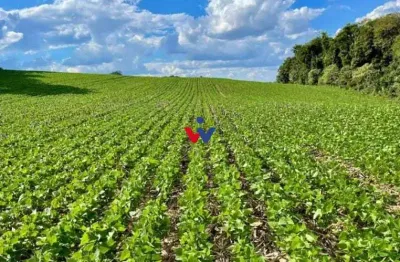 Chácara à venda, 23600 m  por r  649.000,00 - barigui - araucária pr