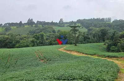 Área de 79.000 m  com 41.000 m  mecanizados  perfeita para cultivo ou projetos sustentáveis