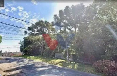 Terreno 4.750 m  ZR2 Plano, Murado e com Duas Frentes  Investimento Imperdível