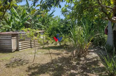 Chácara em alexandra, paranaguá, casa, tanques de peixe e alto potencial de investimento
