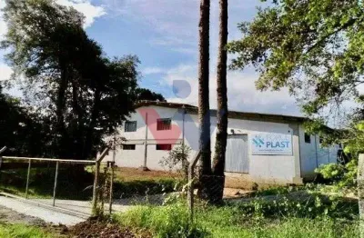 Propriedade Espetacular na Divisa Balsa Nova   Campo Largo  8.000 m  com Barracões e Casa