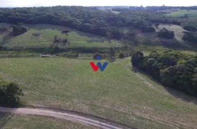 Chácara fazenda na lapa-pr  paraíso rural de 28 alqueires à venda