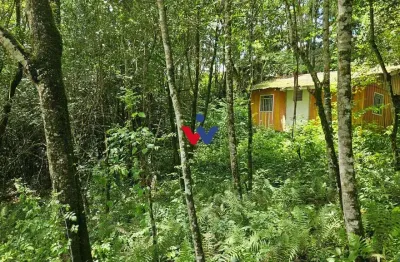 Terreno urbano de 11.000 m  com nascente e bosque a 14 km de curitiba