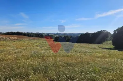 Chácara 7 Alqueires em Campo Magro  Ideal para Plantio e Lazer