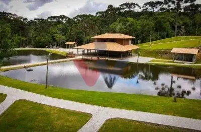 Oportunidade de Pesqueiro Completo à Venda em Campina Grande do Sul