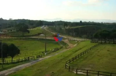 Rural com 5 dormitórios à venda,520000.00 m , centro, tijucas do sul - pr