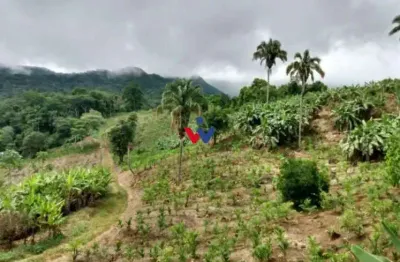 Sítio de 33 hectares com produção agrícola e potencial para turismo rural
