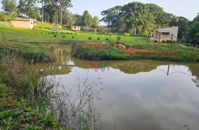 Chácara paradisíaca em araucária  20.000m  com casa, quiosque e córrego