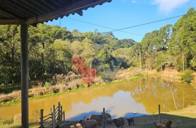 Chácara 48.400m  com tanques, riacho e 2 casas  aceita imóvel ou carro