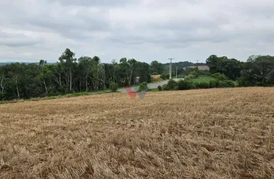 Chácara com 17000m  , com uma linda vista, frente para o asfalto, no guajuvira em araucária