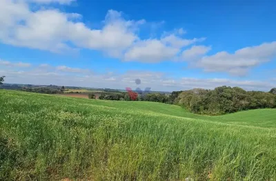 Chácara 20.000m  em araucária  frente asfalto, vista linda e zona de expansão urbana