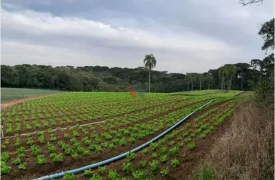 Terreno de 21.000 m  no umbará  espaço, natureza e privacidade a poucos minutos de curitiba