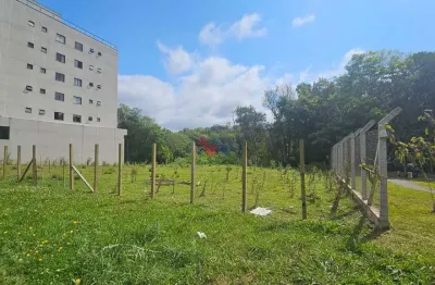 Terreno zr-3,1 com 2.544 m  no boa vista  localização estratégica para grandes projetos