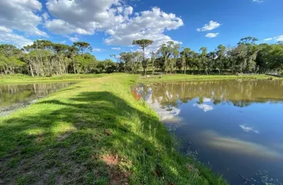 Chácara com 29.328,08m , com 2 casas, 4 tanques de peixes, em catanduvas do sul, contenda-pr