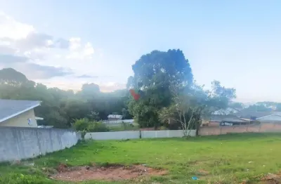 Tterrenos no campina da barra  esquina 657 m  e lotes 332 m  com ótimos preços